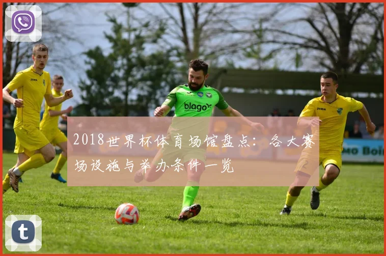 2018世界杯体育场馆盘点:各大赛场设施与举办条件一览